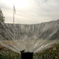 Political Issues in Chula Vista, CA: An Expert's Insight
